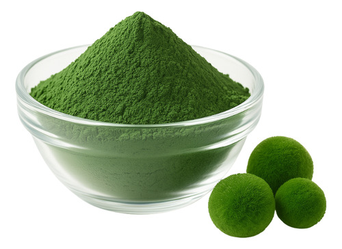 Chlorella Extracto En Polvo Concentrado 50% Proteina 250g Característico