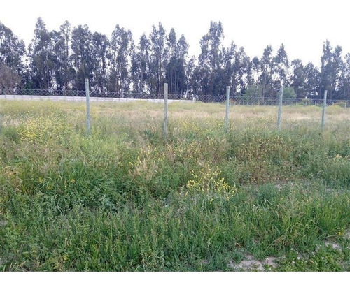 Imagen 19 de 23 de Sitio En Venta En Isla De Maipo