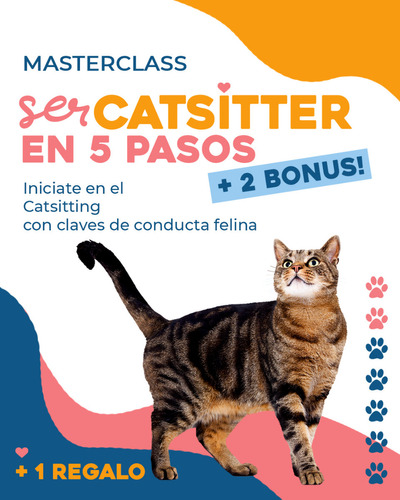 Masterclass Ser Catsitter En 5 Pasos + 2 Bonus (+ 1 Regalo) 