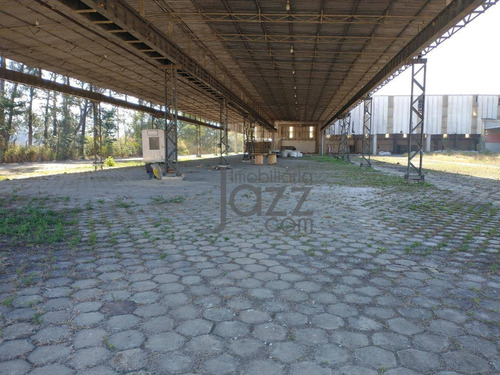 Imagem 21 de 26 de Terreno À Venda, 160000 M² Por R$ 56.000.000,00 - Chácaras Reunidas Igarapés - Jacareí/sp - Te1662