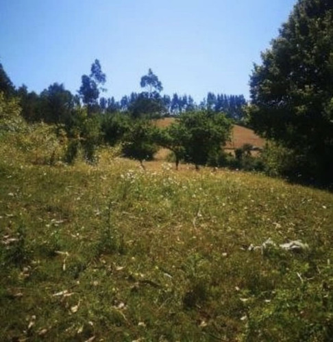 Casa En Venta En Lomas De Tecamachalco Con Un Terreno De 3200 Metros