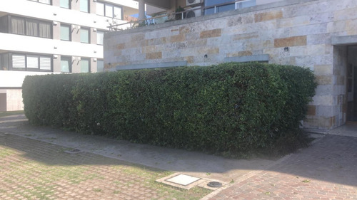 Departamento 3 Amb En Barrio Nuevo Quilmes. Apto Crédito. Ingreso Independiente
