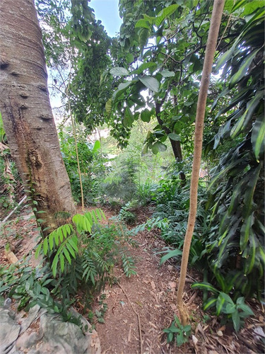 Imagem 5 de 15 de Terreno-são Paulo-campo Limpo | Ref.: Reo650663 - Reo650663