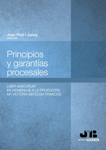 Principios Y Garantías Procesales., De Joan Picó I Junoy. Editorial J.m. Bosch Editor, Tapa Blanda En Español, 2013