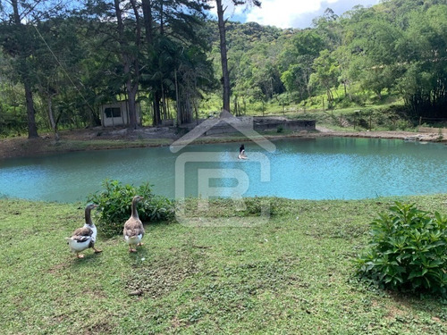 Imagem 3 de 30 de Lindo E Luxuoso Sítio - 79 - 68959884