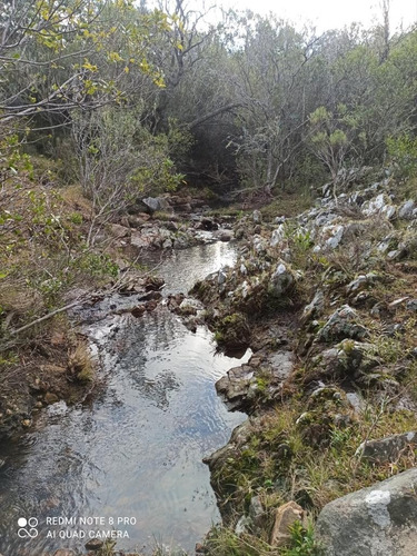 Imagen 10 de 11 de Campo En Aigua, 76 Hectáreas Con Arroyo.