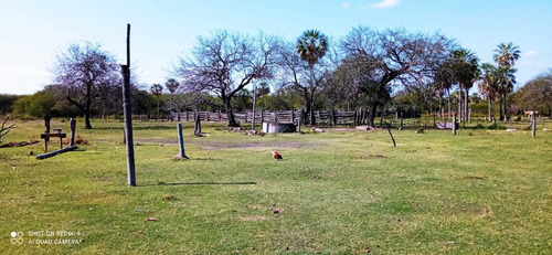 Imagen 5 de 12 de Campo Ganadero En Manuel Belgrano Formosa 944 Hectareas