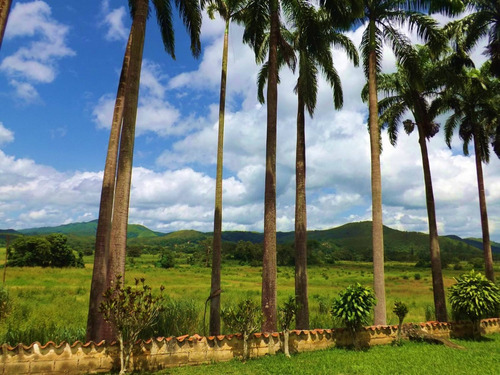 Dc224456 En Venta Hermosa Finca En Los Chaguaramos, Sabaneta Norte - Montalbán Carabobo