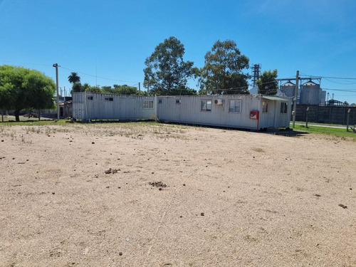 Imagen 18 de 26 de Depósito -camino Tomkinson Próximo Luis Batlle Berrescamino Tomkinson Próximo L. Batlle Berres, Predio De 5 Hectareas Y 1850 M2 De Deposito !!