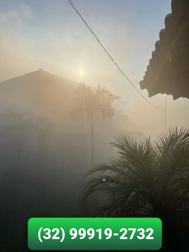 Imagem 5 de 15 de Fazenda, Para Venda Em Fervedouro/mg - Coffeefarm730