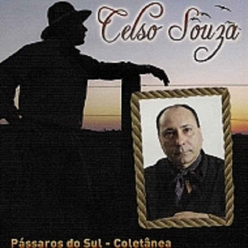 Cd - Celso Souza - Passaros Do Sul - Coletânea