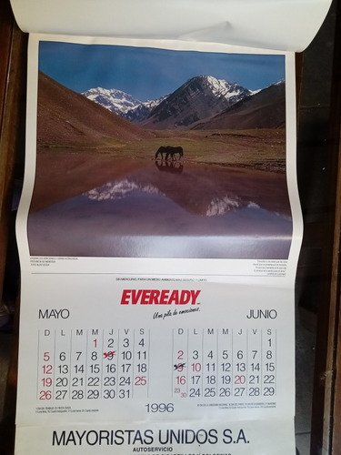 Almanaque Antiguo 1996 Eveready Fotos Aldo Sessa (Usado)
