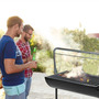 Tercera imagen para búsqueda de parrilla