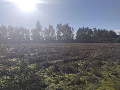2parcelas Colindantes 5300 M2 C/u En Condominio Calera Tango
