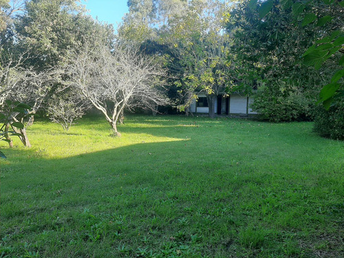 Alquiler Comercial - Quinta En Canning