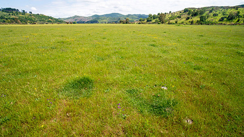 Imagen 3 de 15 de Hacienda Los Coipos