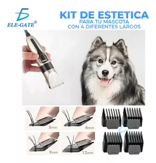 Maquina Rasuradora Para Mascota Con Accesorios Para Limpieza Color Dorado