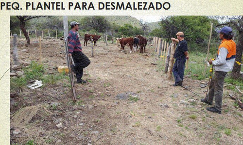Imagen 9 de 10 de Fracción En Venta, Ideal Para Desarrollo De Olivares Y De Vid, San Luis