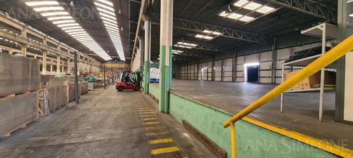 Imagen 5 de 9 de S/ Panamericana Nave De 3000 M²