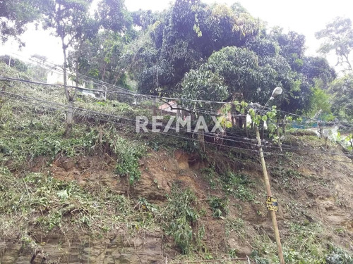 Imagen 6 de 8 de En Venta Terreno En El Sector Figueroa.