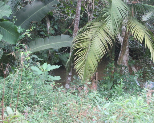 Imagem 10 de 21 de Terreno - 04611 - 33229241