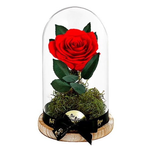 Florería Enamorados San Valentin Cúpula 1 Rosa Preservada 