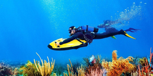 Imagem 6 de 11 de Sea Bob F5 S Novo