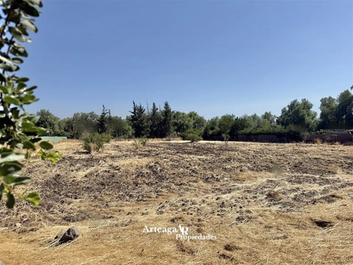 Sitio Sector Condominio El Algarrobo, Chicureo Oriente