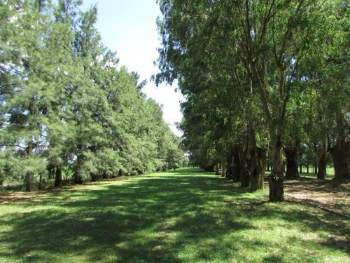 Venta Campo De 58hs Con Casco Moderno En Lobos