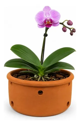 Vaso Cachepot 18cm De Cerâmica Furado P/ Orquídeas Barro