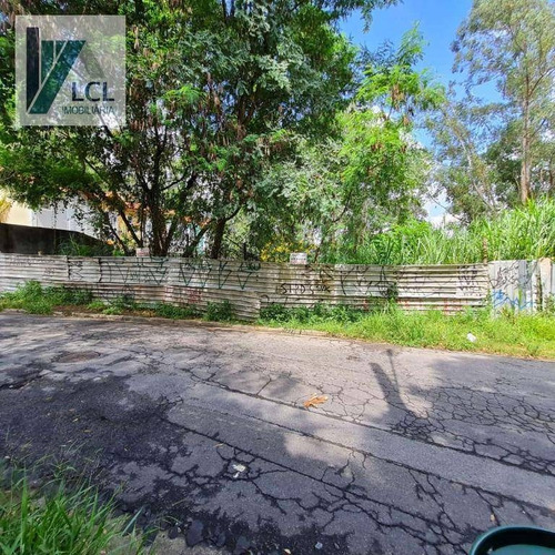 Imagem 8 de 17 de Terreno À Venda, 704 M² Por R$ 600.000,00 - Parque Ipê - São Paulo/sp - Te0001