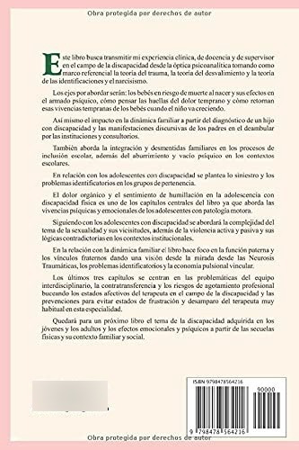 Libro Discapacidad : Reflexiones Psicoanaliticas E Intervenc