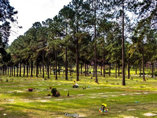 Jazigo Cemitério Jardim Da Colina - 4 Gavetas De Acesso Privativo, Próximo A Entrada