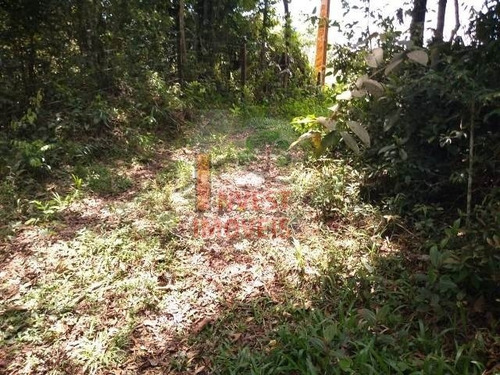 Imagem 2 de 7 de Terreno - Ref: 2985 - V-2985