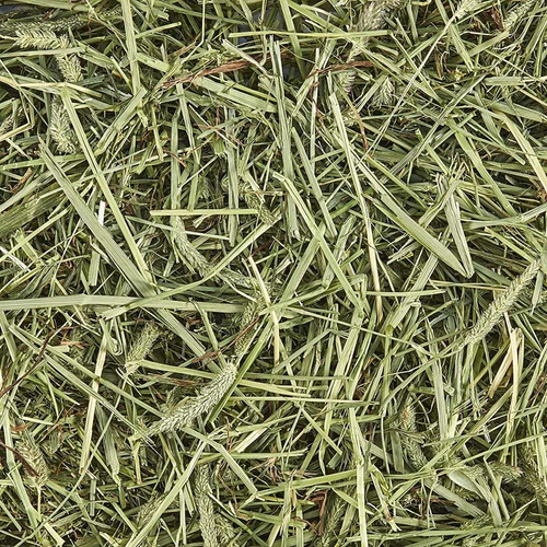 Imagen 5 de 10 de Alimento Balanceado Conejos Mezcla Especial Premium 600gr