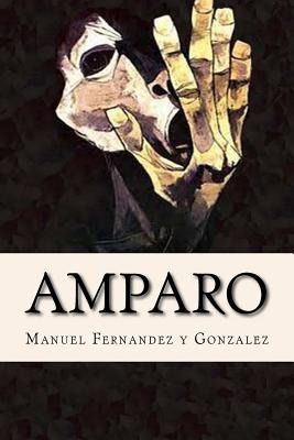 Libro Amparo, Memorias De Un Loco - Fernandez Y. Gonzalez...