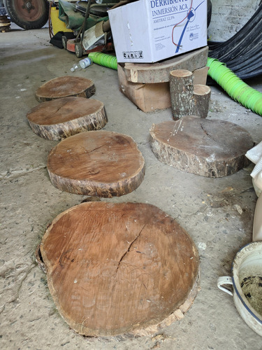Rodajas Madera Tronco Grandes