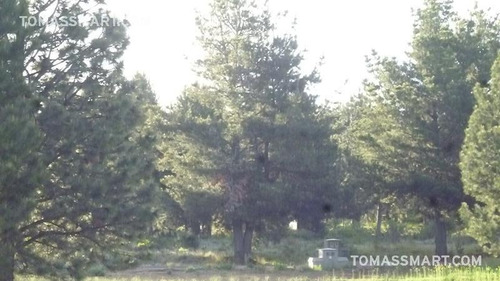 Imagen 9 de 10 de Lote En Country Pinar Del Sol, Bariloche