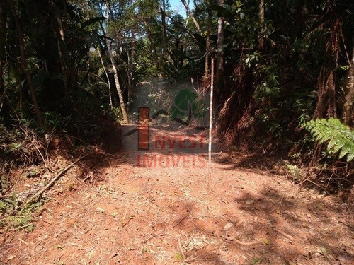 Imagem 3 de 10 de Area - Ref: 4743 - V-4743