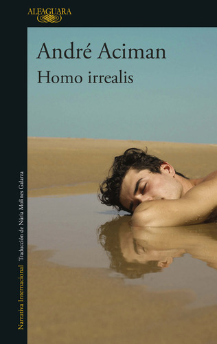 Homo Irrealis / Aciman, Andre