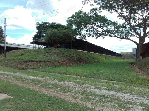 Granja Avicola Ganadera Minera Tinaquillo, Negociable