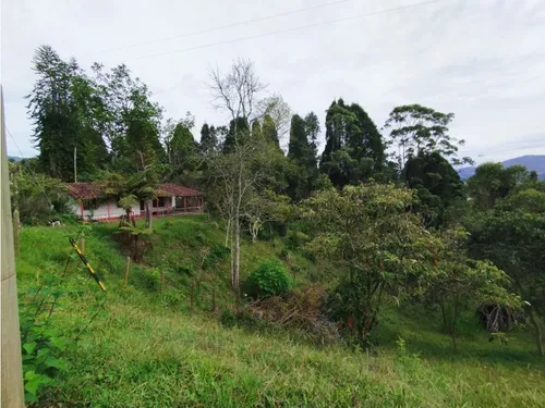Venta De Lote En Guarne, Vereda Hojas Anchas