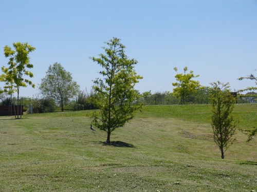 Imagen 25 de 30 de Terreno Lote En Venta Ubicado En San Benito, Villanueva, Tigre