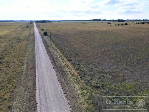 Imagen 9 de 18 de 33 Has En Venta - Chacra Agrícola Con Excelente Acceso