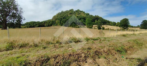 Sitio - 5.000 M2 Cada Uno - Cascadas - Puerto Octay