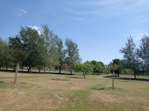 Imagen 6 de 10 de Terreno Haras De Funes