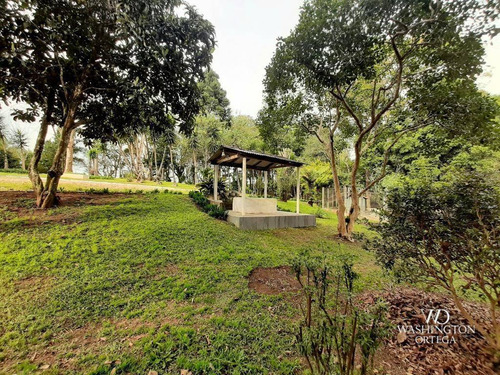 Imagem 12 de 30 de Chácara Com 2 Dormitórios À Venda, 37784 M² Por R$ 660.000,00 - Rio De Una - São José Dos Pinhais/pr - Ch0071