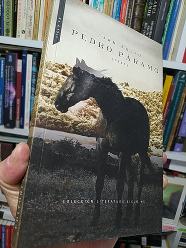Pedro Páramo Juan Rulfo Ed. Rm Colección Literatura Siglo X (Reacondicionado)