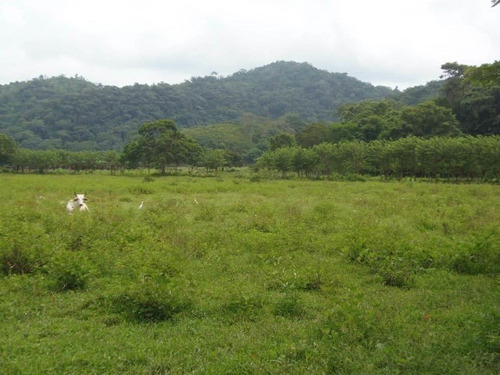 Imagen 24 de 30 de Finca En Venta San Felipe 1500 Ha, #23-14481