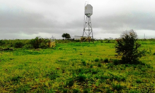 Quinta En Venta De 2 Dormitorios En Maldonado